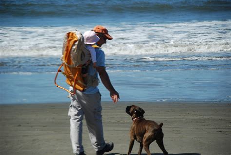 Can You Take Dogs To Bodega Bay?