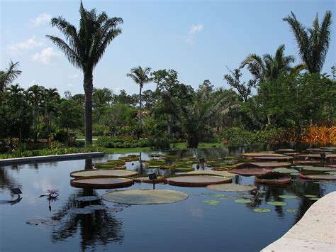 How Much Is It To Get Into The Naples Botanical Garden?