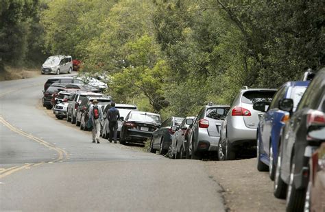 Is It Hard To Find Parking At Muir Woods?
