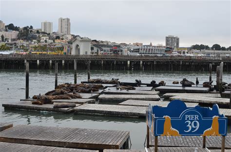 Is It Safe To Visit Pier 39 San Francisco?