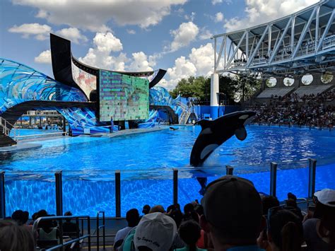 Is SeaWorld worth going to?