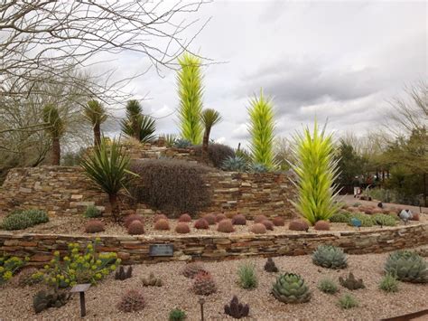 What day is the Desert Botanical Garden free?