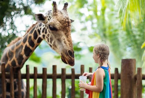What is the number 1 rated zoo in the world?