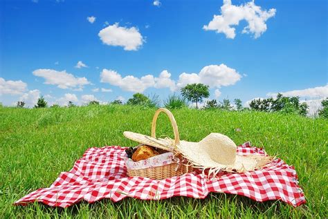 Which Is The Best Picnic Spot In The World?