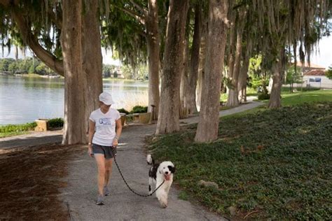 Are dogs allowed in Florida parks?