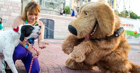Can dogs stay in Disney hotels?
