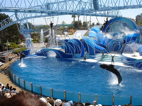 Can You Do Everything In SeaWorld In One Day?