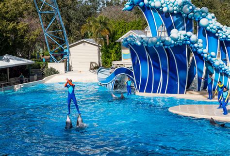 Can You Do SeaWorld Orlando In Half A Day?