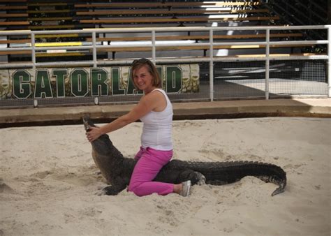 Can You Touch Gators At Gatorland?