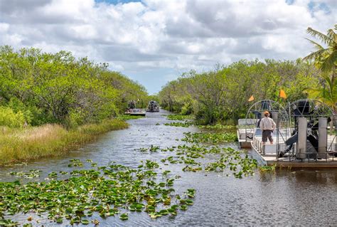 Do You Have To Pay To Get Into Everglades National Park?