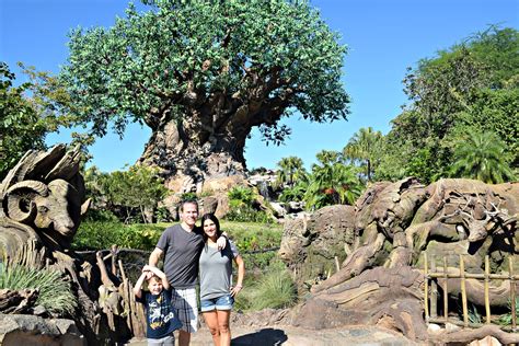 Do You Walk A Lot At The Animal Kingdom?