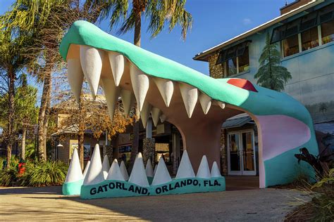 Does Gatorland Sell Gator Heads?