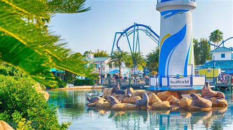 How Early Should I Get To SeaWorld Orlando?