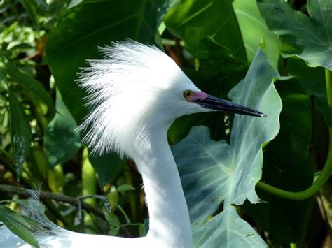 How Long Is A Day At Gatorland?