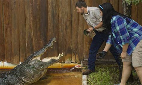 How much do Gatorland workers make?