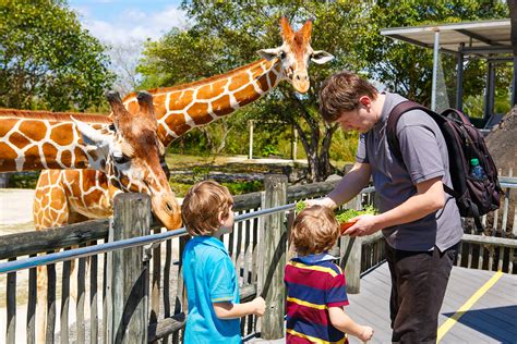 How much does it cost to go to Orlando Zoo?