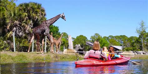 How Much Does It Cost To Go To The Florida Zoo?