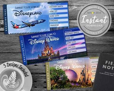 What Does A Standard Disney Ticket Include?