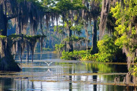 What is the largest state park in Florida?