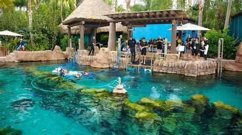 What Is The Least Busy Day To Go To SeaWorld Orlando?