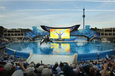 What Is The Least Crowded Day At SeaWorld?