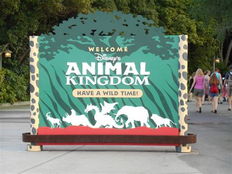 What Should You Not Miss At Disney’s Animal Kingdom?