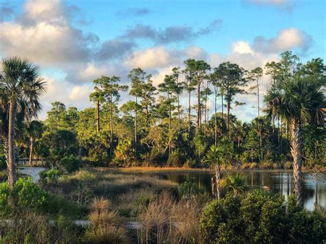 When not to visit the Everglades?