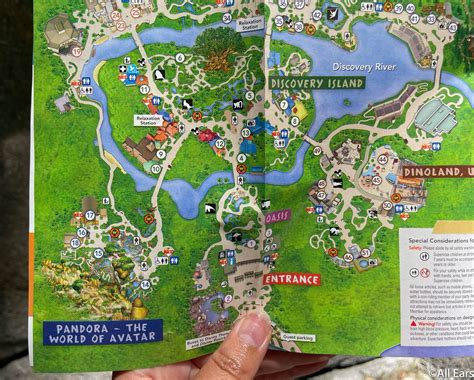 Where Is Animal Kingdom Filmed?