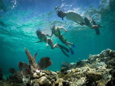 Where is the best place to snorkel for lobster in the Keys?