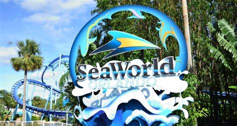 Which Is Better SeaWorld Or Animal Kingdom?