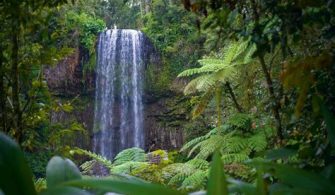 Cairns City Guide: Unveiling Tropical Wonders and Adventure