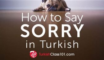 How do you apologize to a Turkish man?