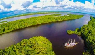 Manaus Tour Guide: Amazon Rainforest Adventure Awaits