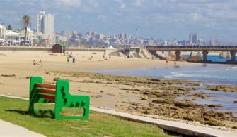 Port Elizabeth Travel Guide: Coastal Delights Await