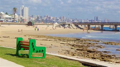 Port Elizabeth Travel Guide: Coastal Delights Await