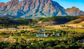 Stellenbosch Wine Country: Tastings and Scenic Beauty