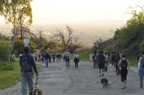 Are dogs allowed at Griffith Park?