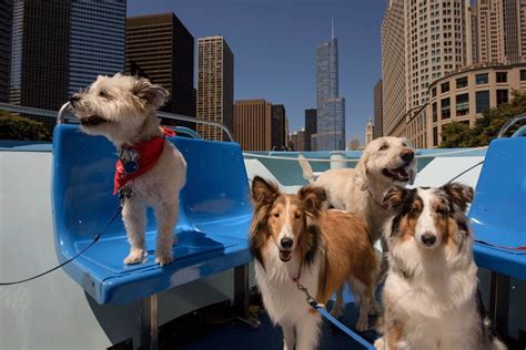 Are dogs allowed Chicago Riverwalk?