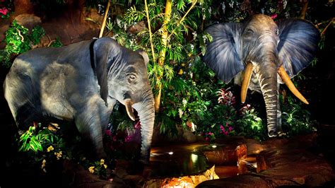 Are the animals at Rainforest Cafe real?