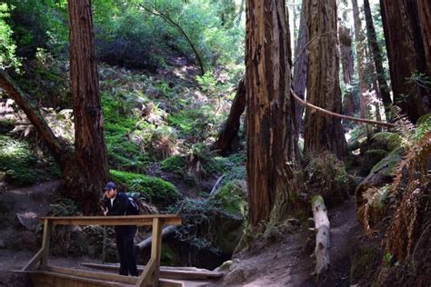 Can An Uber Drop You Off At Muir Woods?