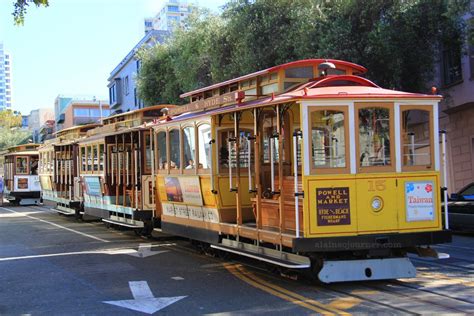 Can Dogs Go On Cable Cars In San Francisco?