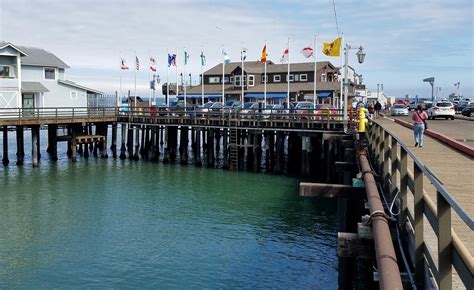 Can Dogs Go On Santa Barbara Pier?