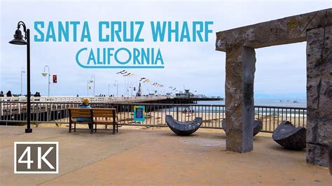 Can Dogs Go On Santa Cruz Wharf?