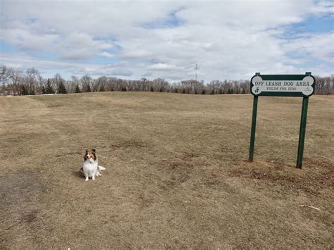 Can dogs go to King's Park?