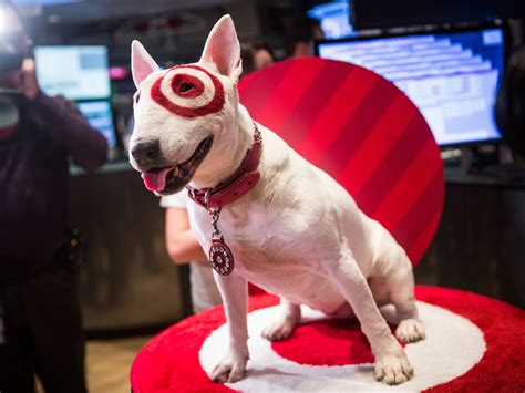 Can dogs walk around in target?