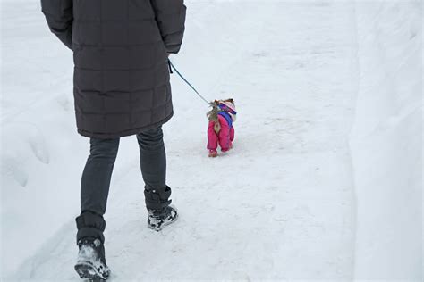 Can dogs walk in snow without shoes?