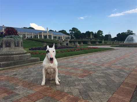 Can I bring my dog to Garfield Park Conservatory?