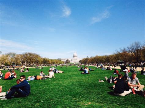 Can I picnic on the National Mall?