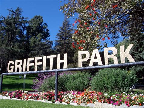 Can You Bring Dogs To Griffith Park?