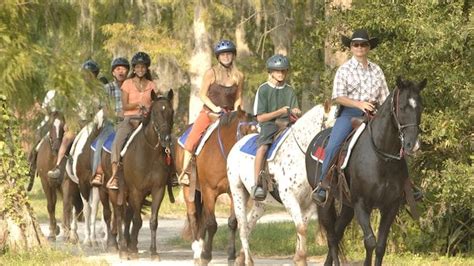 Can You Do Horseback Riding At Disney World?